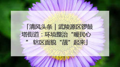 清风头条｜武陵源区锣鼓塔街道：环境整治“暖民心” 辖区面貌“靓”起来